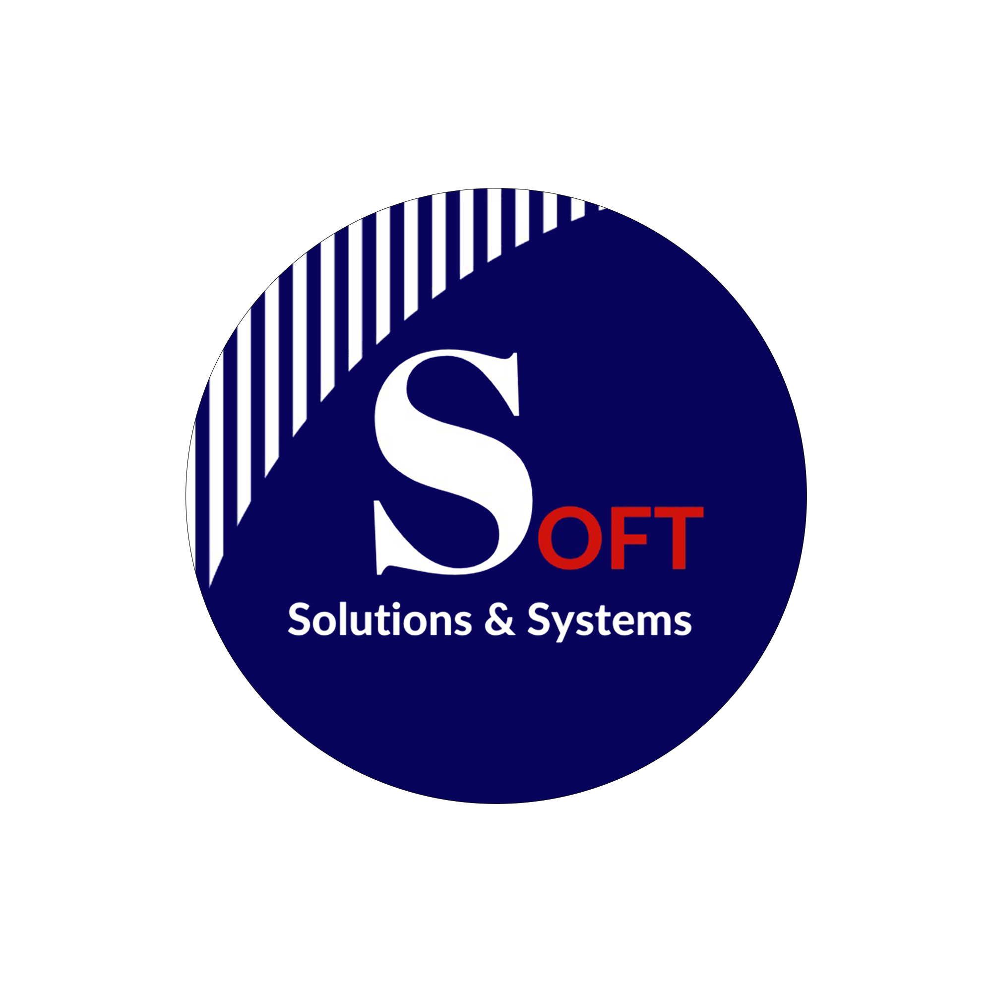 Soft Solutions & Systems logo